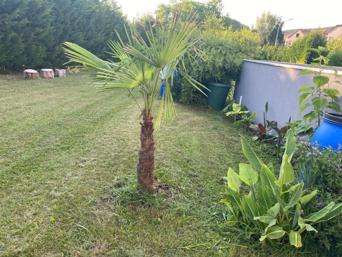 Au Paradis D'Alsace 55 M2 Nature & Relax Ingwiller Exterior photo