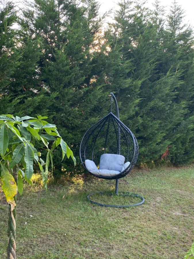Au Paradis D'Alsace 55 M2 Nature & Relax Ingwiller Exterior photo